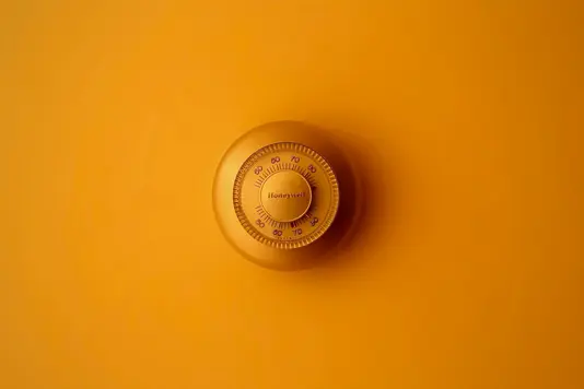 moja-msanii-vO9-gal54go-unsplash Tresor