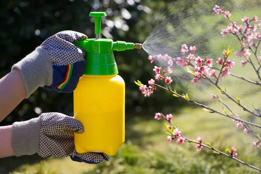 Sprühflasche
